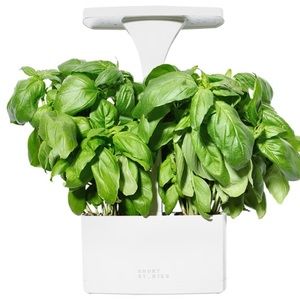 Short Stories LED Indoor Planter